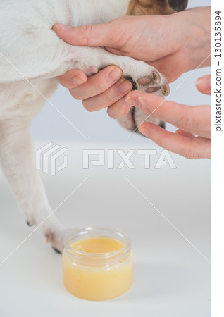 The owner puts wax on the dog's paws. The owner puts wax on the dog's paws. 130135894