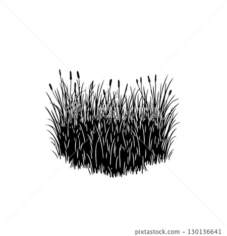 Elegant Silhouette of Cattails and Reeds in a Minimalist Design Illustration Elegant Silhouette of Cattails and Reeds in a Minimalist Design Illustration 130136641