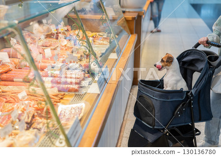 Jack Russell Terrier dog in a stroller at a grocery store.  130136780
