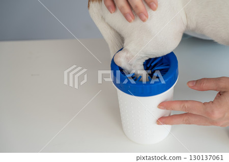The owner washes the dog's paws in a special device. The owner washes the dog's paws in a special device. 130137061