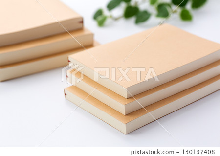 Paper books (paperbacks) 130137408