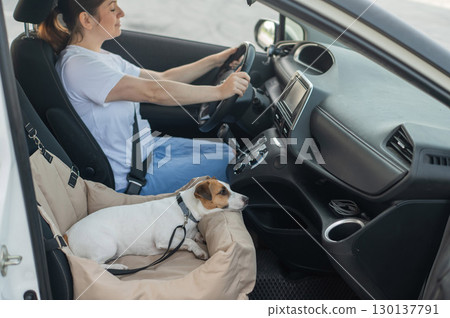 Caucasian woman travels by car with her dog. Jack Russell Terrier in a special car seat.  130137791