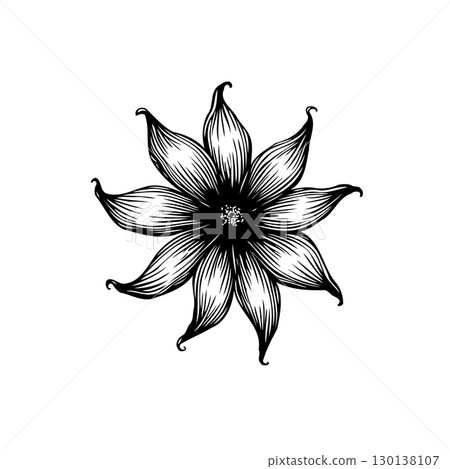 Elegant Detailed Floral Illustration with Intricate Lines and Shading, Classic Drawing Elegant Detailed Floral Illustration with Intricate Lines and Shading, Classic Drawing 130138107