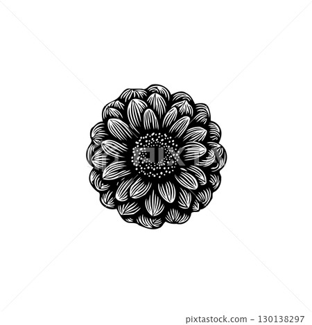 Detailed monochrome flower illustration with intricate linework on white background Detailed monochrome flower illustration with intricate linework on white background 130138297