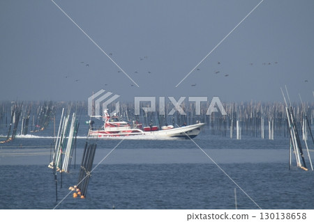 Omuta City Ariake Sea Nori field, 130138658