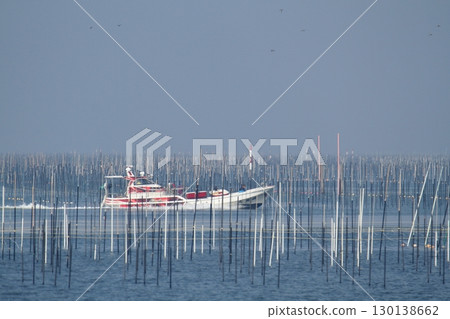 Omuta City Ariake Sea Nori field, Omuta City Ariake Sea Nori field, 130138662