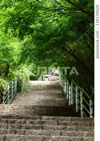 Stairs leading to Arakurayama Sengen Park Stairs leading to Arakurayama Sengen Park 130138920
