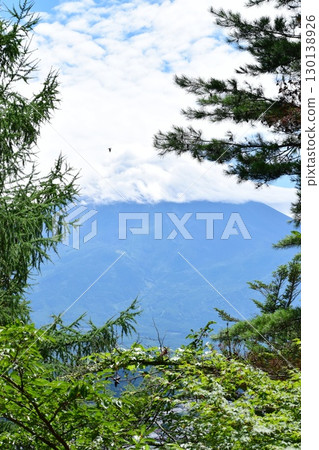 夏季透過樹木看到的富士山 130138926