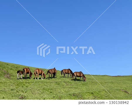 Cape Toki海角馬 Cape Toki海角馬 130138942