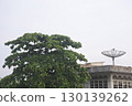 satellite dish on the island 130139262
