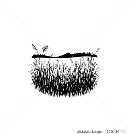 Elegant minimalist silhouette landscape with reeds and distant trees on a white background Elegant minimalist silhouette landscape with reeds and distant trees on a white background 130139441