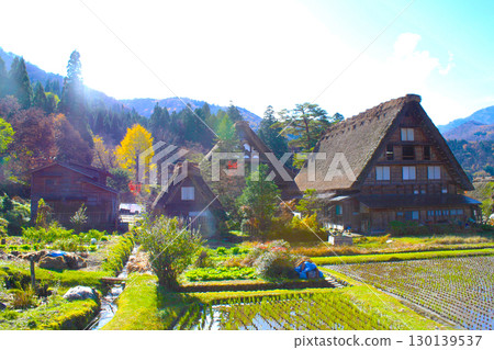 Shirakawa-go in autumn, home of the heart of Japan Shirakawa-go in autumn, home of the heart of Japan 130139537