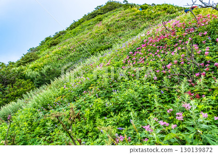 大山烏托邦花海路線:鳥取縣西伯郡大山町,10個花田裝飾山坡 大山烏托邦花海路線:鳥取縣西伯郡大山町,10個花田裝飾山坡 130139872