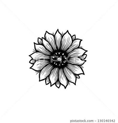Elegant Black and White Sunflower Illustration with Detailed Petals and Seed Head Elegant Black and White Sunflower Illustration with Detailed Petals and Seed Head 130140342