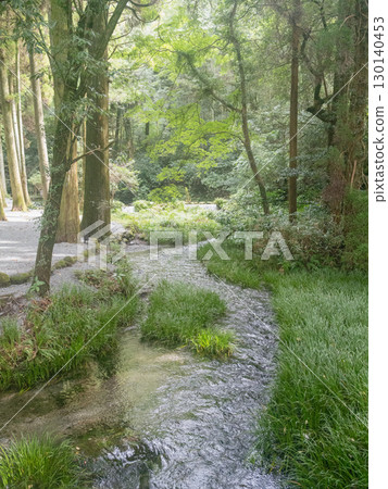 Ikeyama Spring, one of Japan's 100 most healing springs 130140453