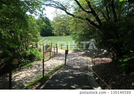 綠樹環繞的公園長廊 130140589