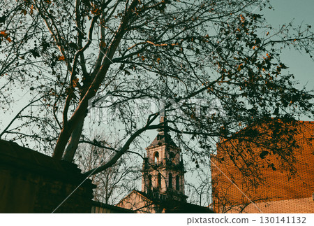 A charming church steeple rises above trees, captured in a serene autumn scene, showcasing elegant architecture. A church framed by tree branches 130141132