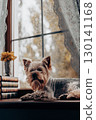 A yorkshire terrier dog relaxes on a windowsill, enjoying the ambiance of a home. A charming Yorkie doggy rests on a wooden window sill at cozy home. 130141168
