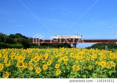 指宿枕崎線上的 Kiha 40 九州塗裝和向日葵 130141912