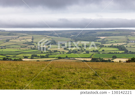 Rolling Dorset Countryside and Patchwork Fields, Isle of Purbeck, England 130142221