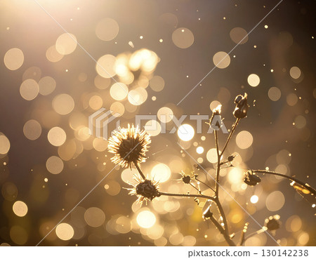 人工智慧生成的圖像：漏光——夕陽下閃耀的花朵 130142238