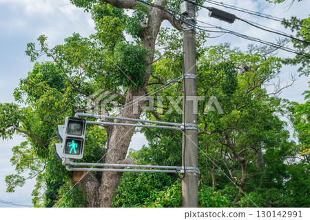 Straight arm pedestrian light (green light) 130142991