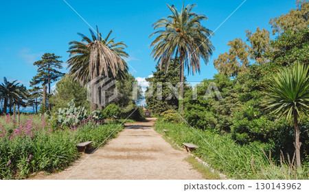 path to Lerins Abbey and Saint Pierre Chapel 130143962