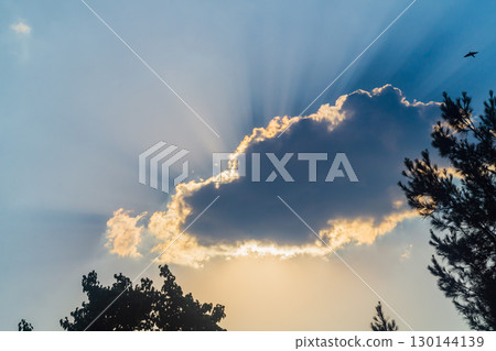 Landscape of blue sky with large dense cloud covered sun, along edges contrasting rays of light diverge and shine through contour with warm yellow light. In foreground there are trees, bird is flying 130144139