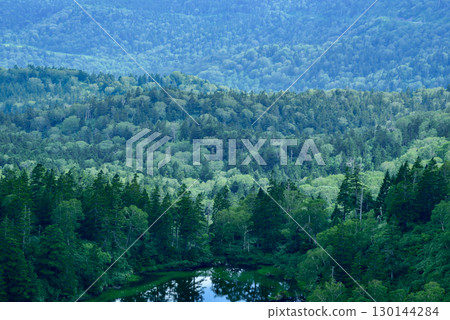 Lakeside scenery in Towada-Hachimantai National Park, Iwate Prefecture 130144284