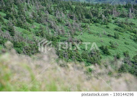 Towada-Hachimantai National Park, Iwate Prefecture 130144296