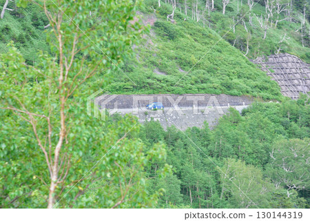 A blue car traveling through the wilderness 130144319