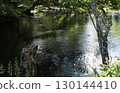 Sunlight on the Stream 130144410