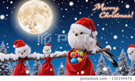長尾山雀聖誕老人 長尾山雀在滿月和聖誕老人的夜空中閃耀的聖誕圖像 長尾山雀聖誕老人 長尾山雀在滿月和聖誕老人的夜空中閃耀的聖誕圖像 130144470