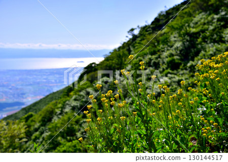 滋賀縣伊吹山的景色 130144517