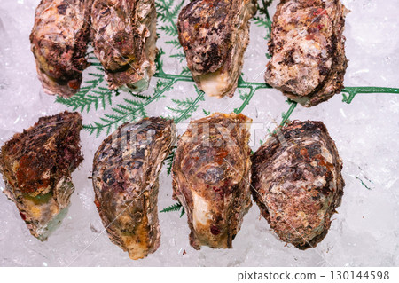 鳥取縣境港漁港的岩牡蠣 130144598