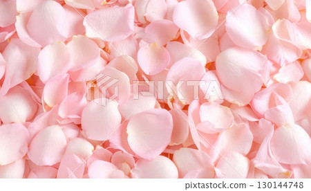 AI image: Pink rose petals scattered all over AI image: Pink rose petals scattered all over 130144748