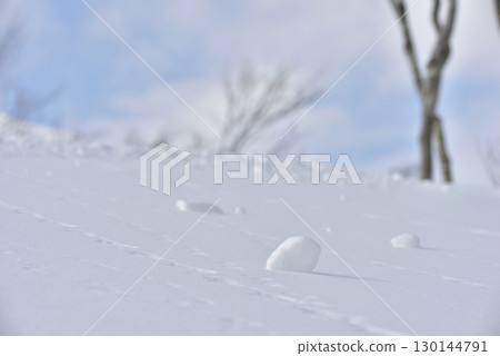 Image of a snowball 130144791