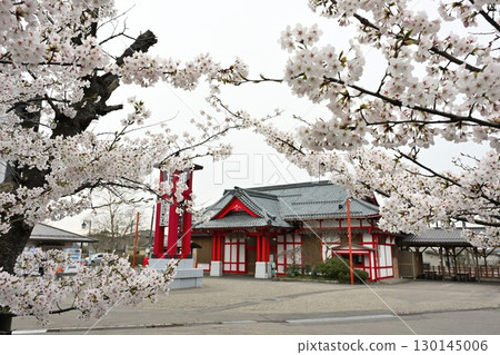 Yahiko Station and Sakura (Niigata Prefecture) 130145006