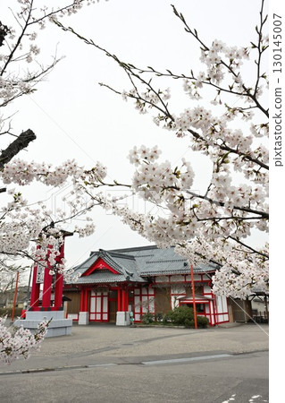 Yahiko Station and Sakura (Niigata Prefecture) 130145007