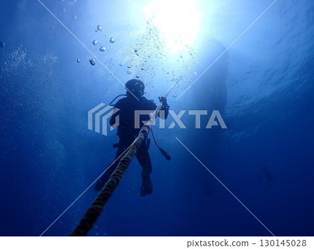 Diver swimming in the blue sea Diver swimming in the blue sea 130145028