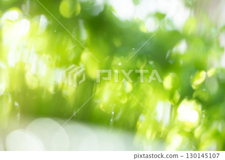 Background material: bokeh, pea sprouts, bright green image 130145107