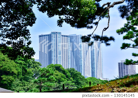 市中心的高層建築 130145145