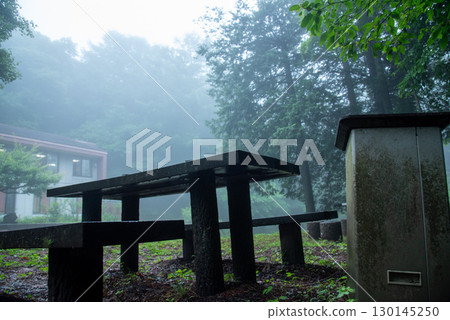 A bench in the misty forest 130145250