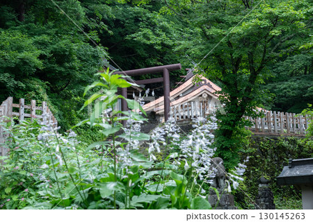 Togakushi Shrine, Nagano Prefecture Togakushi Shrine, Nagano Prefecture 130145263