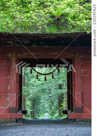 Togakushi Shrine, Nagano Prefecture 130145429