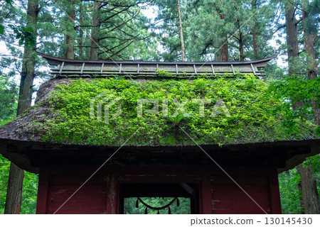 長野縣戶隱神社 130145430