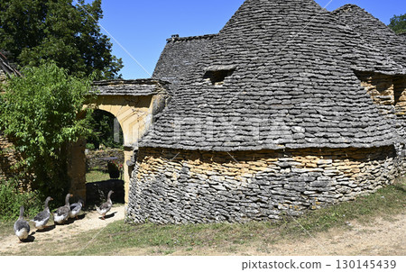 France, Dordogne, Perigord Noir, Dordogne valley, Saint-Andre-d'Allas, cabanes du Breuil, old dry 130145439