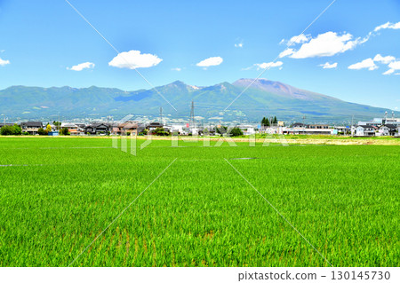 View of Mount Asama from Maeyama in Saku City (Saku City, Nagano Prefecture) [June 2025] 130145730