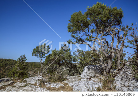 Verdon Canyon, France 130146809