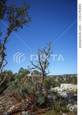 Verdon Gorge, France 130146866